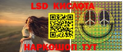 хмурый Новозыбков