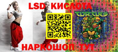 хмурый Новозыбков