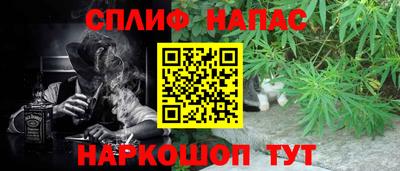 хмурый Новозыбков