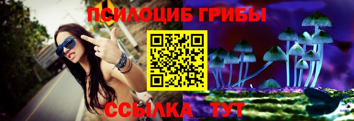 Миасс  Галлюциногенные грибы мухоморы  Вход с VPN 