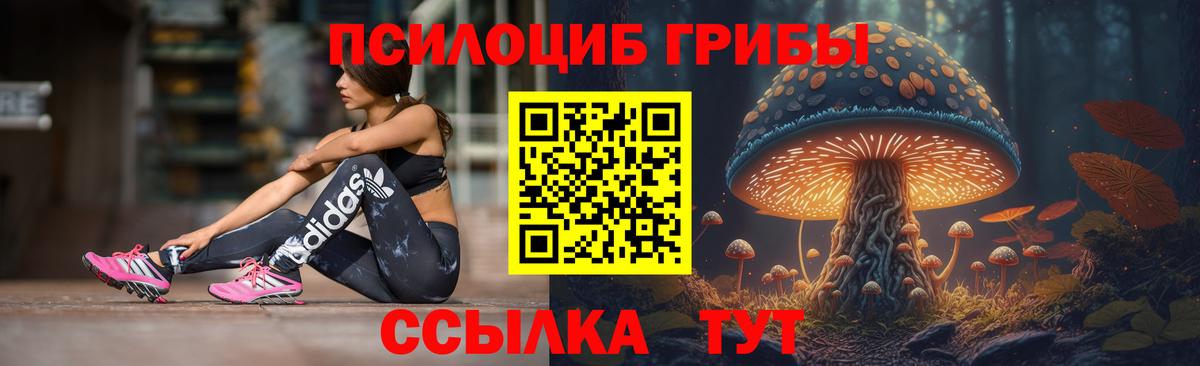 Псилоцибиновые грибы Psilocybe Миасс